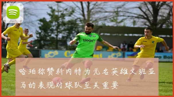 哈珀称赞科内特为无名英雄文班亚马的表现对球队至关重要