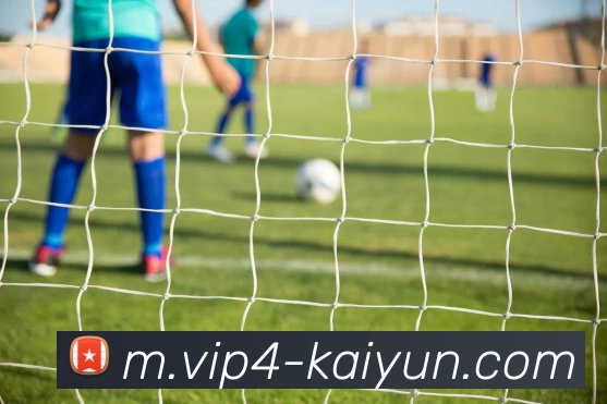 开云体育APP 高清赛事图